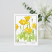 Postale Carte d'étude de la matière médicale de Pavot de C (Debout devant)