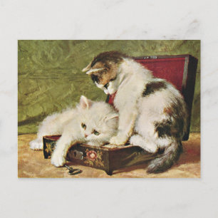 Postale Carte Deux Chatons Joueurs