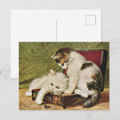 Postale Carte Deux Chatons Joueurs (Devant / Derrière)