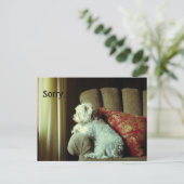 Postale Carte d'excuses~quand "désolé" dit tout. (Debout devant)