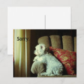 Postale Carte d'excuses~quand "désolé" dit tout. (Devant / Derrière)