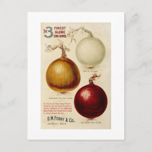 Postale Carte d'illustration de chartreuse d'oignon vintag