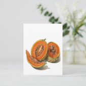 Postale Carte d'illustration de melon cantaloup tranché (Debout devant)