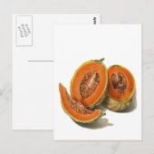 Postale Carte d'illustration de melon cantaloup tranché (Devant / Derrière)