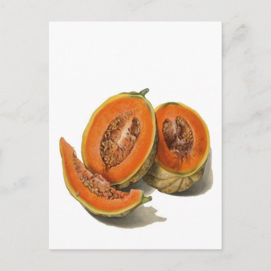 Postale Carte d'illustration de melon cantaloup tranché (Devant)