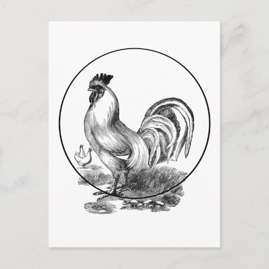 Postale Carte d'illustration du coq vintage (Devant)