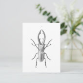 Postale Carte d'illustration du scarabée vintage (Debout devant)