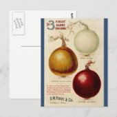 Postale Carte d'illustration vintage de carte à oignon (Devant / Derrière)