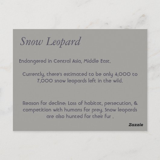 Postale Carte d'information Leopard des neiges (Dos)