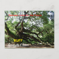 Carte d'organisation RUFF