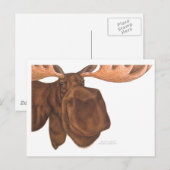 Postale carte d'orignal (Devant / Derrière)