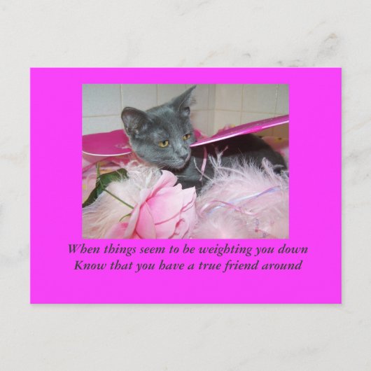 Postale carte du mauvais jour. (Devant)