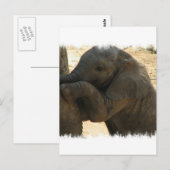 Postale Carte éléphant bébé (Devant / Derrière)