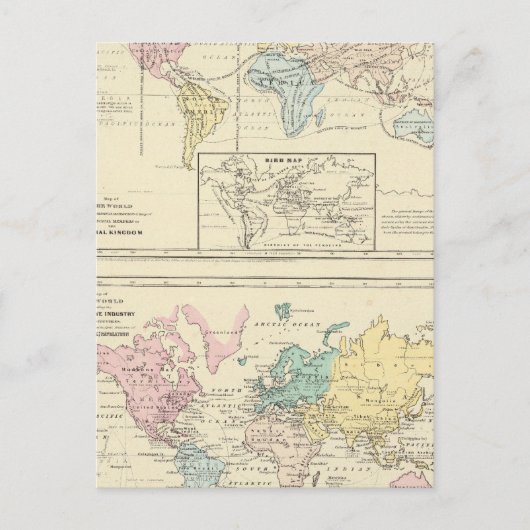 Postale Carte en couleur du monde (Devant)