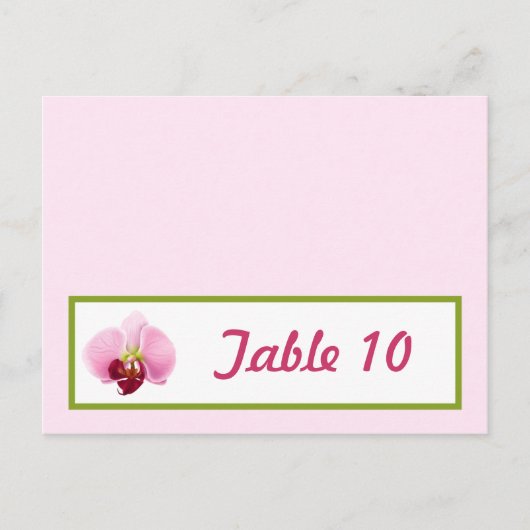 Postale Carte Endroit Écrite Pink Orchid Long Stem Flower (Devant)
