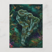 Postale Carte fantastique de la faune de la jungle d'Améri (Devant)
