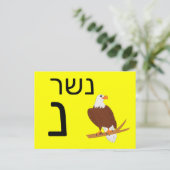 Postale Carte flash נ hébreu (Debout devant)