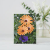 Postale Carte Fleurs de ressort (Debout devant)
