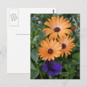 Postale Carte Fleurs de ressort (Devant / Derrière)