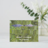 Postale Carte Fort Myers Alligator (Debout devant)