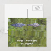 Postale Carte Fort Myers Alligator (Devant / Derrière)