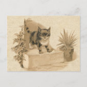 Postale Carte française d'antiquité avec dessin de chat Vi (Devant)