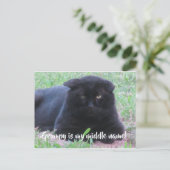 Postale Carte grincheuse (Debout devant)