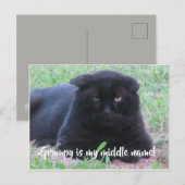 Postale Carte grincheuse (Devant / Derrière)