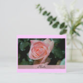 Postale Carte Hello (Debout devant)