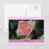 Postale Carte Hello (Devant / Derrière)