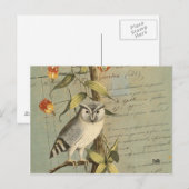 Postale Carte hibou (Devant / Derrière)