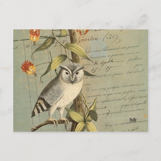 Postale Carte hibou (Devant)