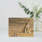 Postale Carte Idi du Sahel (Debout devant)