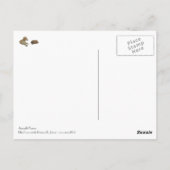 Postale Carte Idi du Sahel (Dos)