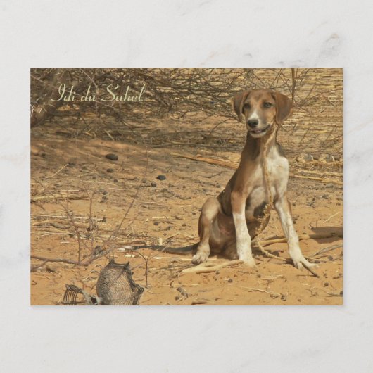 Postale Carte Idi du Sahel (Devant)