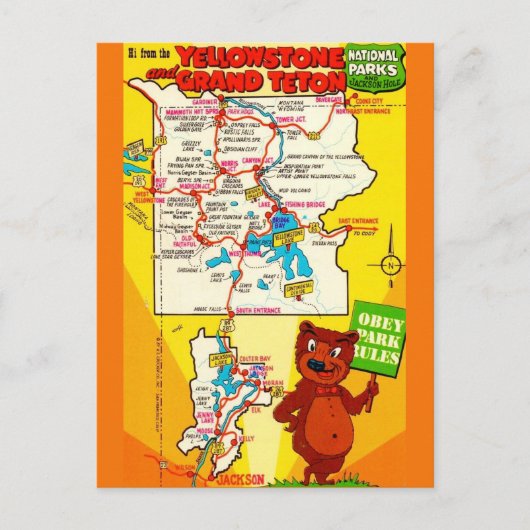 Postale Carte illustrée des parcs de Yellowstone & Teton (Devant)