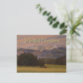 Postale Carte jaune violet vert en souvenir affectueux (Debout devant)