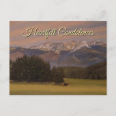 Postale Carte jaune violet vert en souvenir affectueux (Devant)