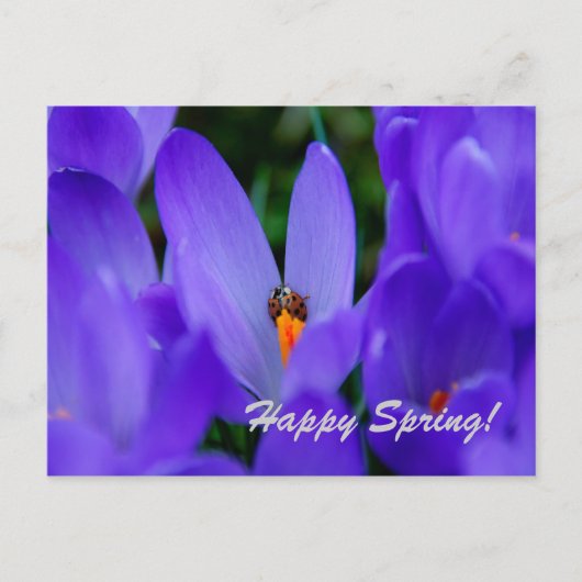 Postale Carte Joyeux Printemps (Devant)