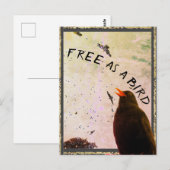 Postale Carte Junction No 16 : Gratuit comme oiseau (Devant / Derrière)