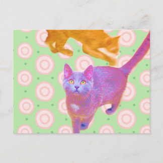 Postale Carte Kitties rétro