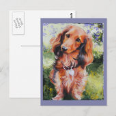 Postale Carte longue Haired Dachshund (Devant / Derrière)