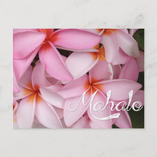 Postale Carte Mahalo Plumeria rose