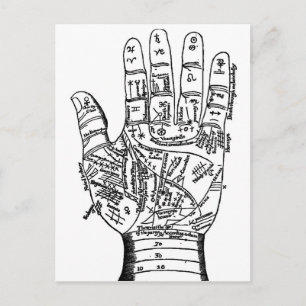 Postale Carte main Palmiste