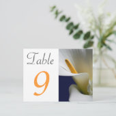 Postale Carte Numéro de tableau Calla Lily (Debout devant)