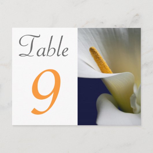 Postale Carte Numéro de tableau Calla Lily (Devant)