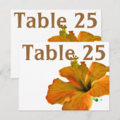 Postale Carte Numéro de tableau Hibiscus de corail (Devant / Derrière)