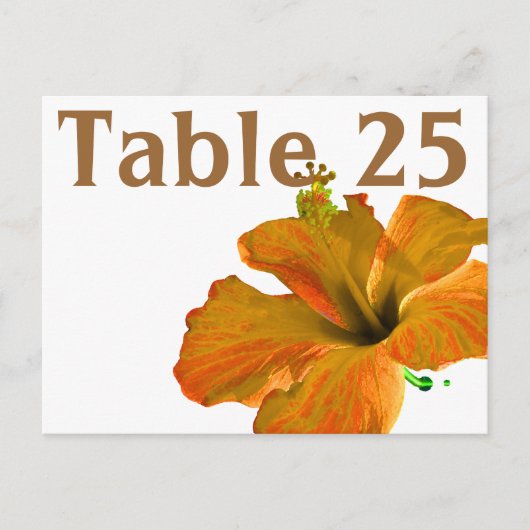 Postale Carte Numéro de tableau Hibiscus de corail (Devant)