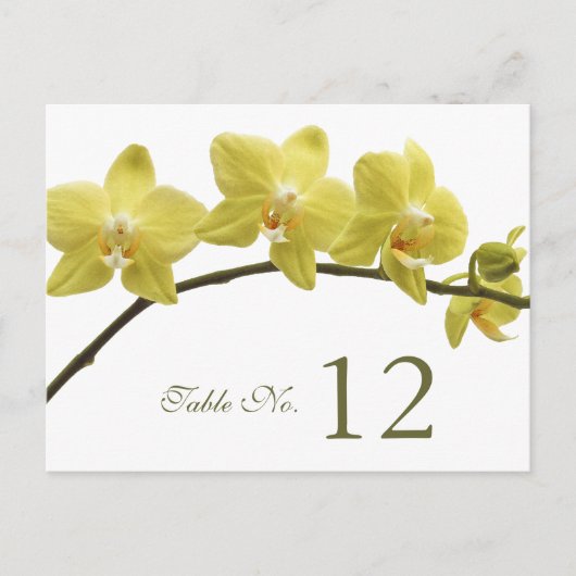 Postale Carte Numéro du tableau Orchidées Jaunes (Devant)