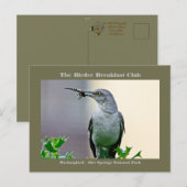 Postale Carte Oiseau Mockingbird (Devant / Derrière)